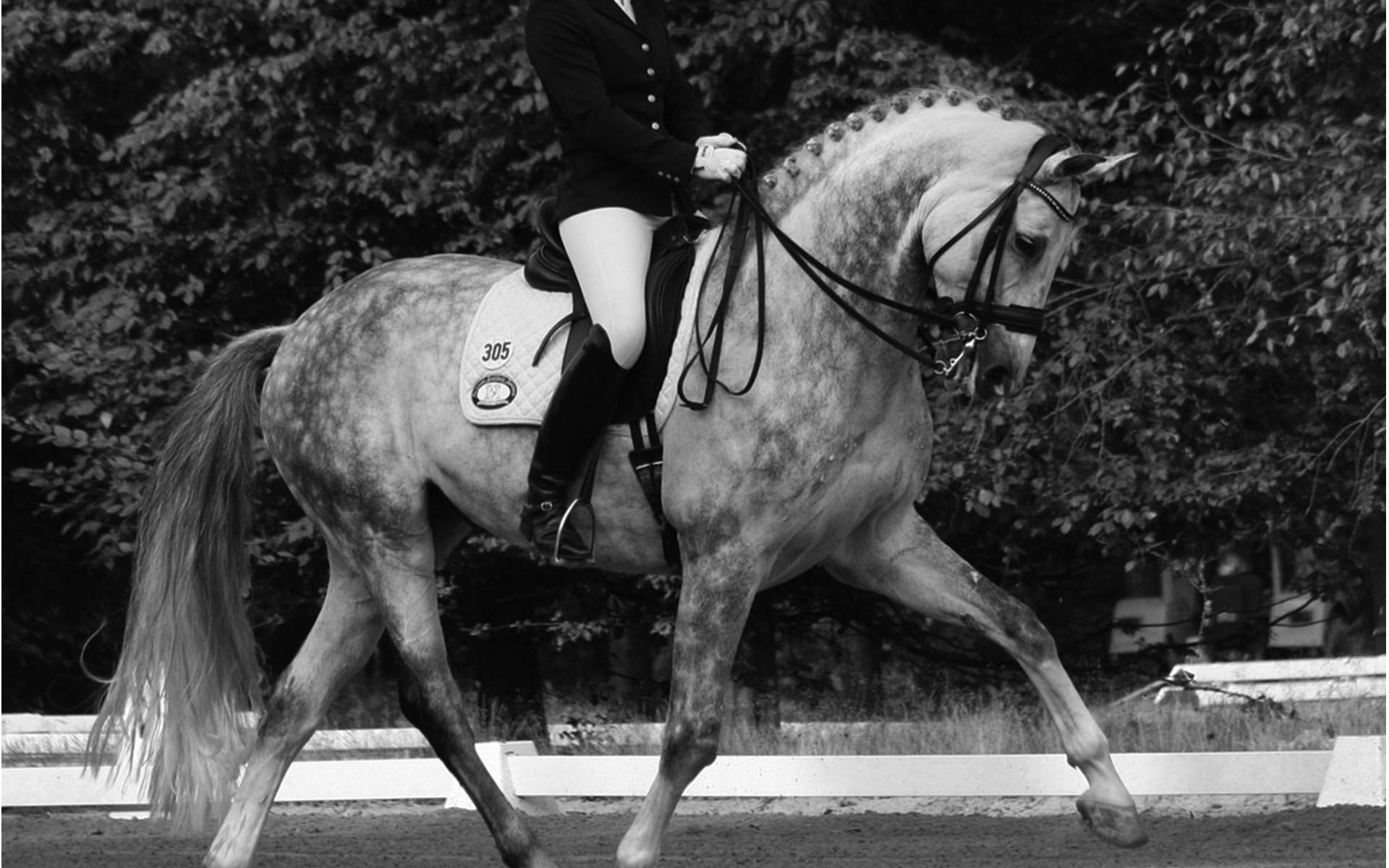 CBLM Championships